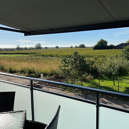 Oasis Tout Confort A Bergheim, Alsace Екстер'єр фото