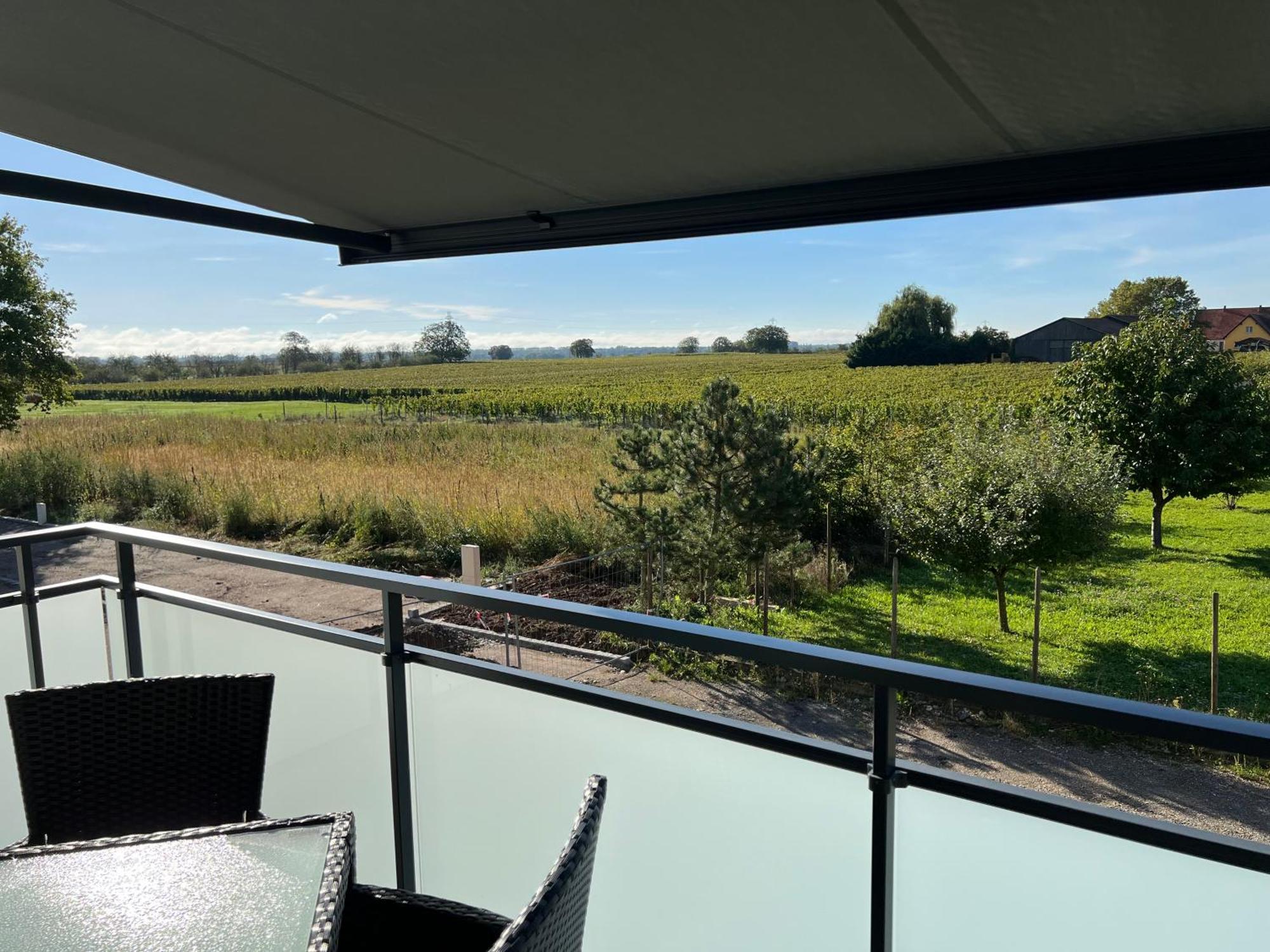 Oasis Tout Confort A Bergheim, Alsace Екстер'єр фото